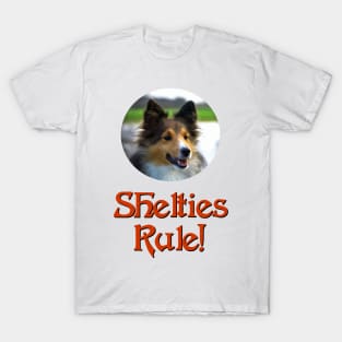 Shelties Rule! T-Shirt